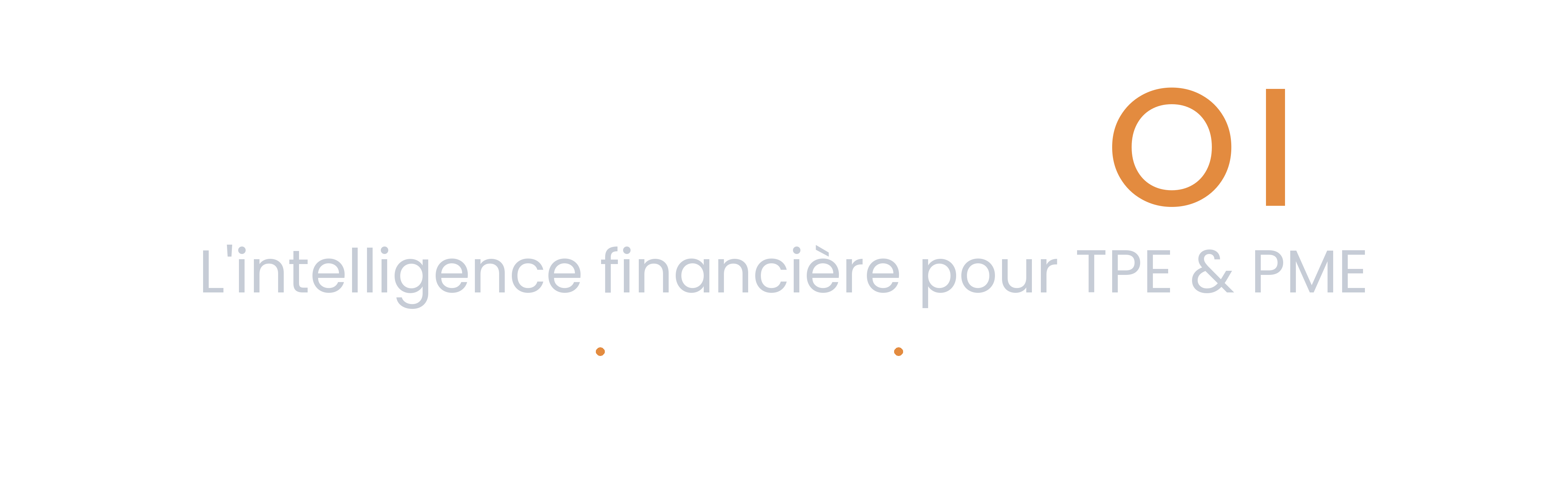 STRATEJ OI — L’intelligence financière pour TPE & PME. Déléguez, décidez, développez.
